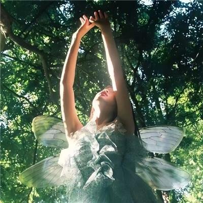 那年应是满天星